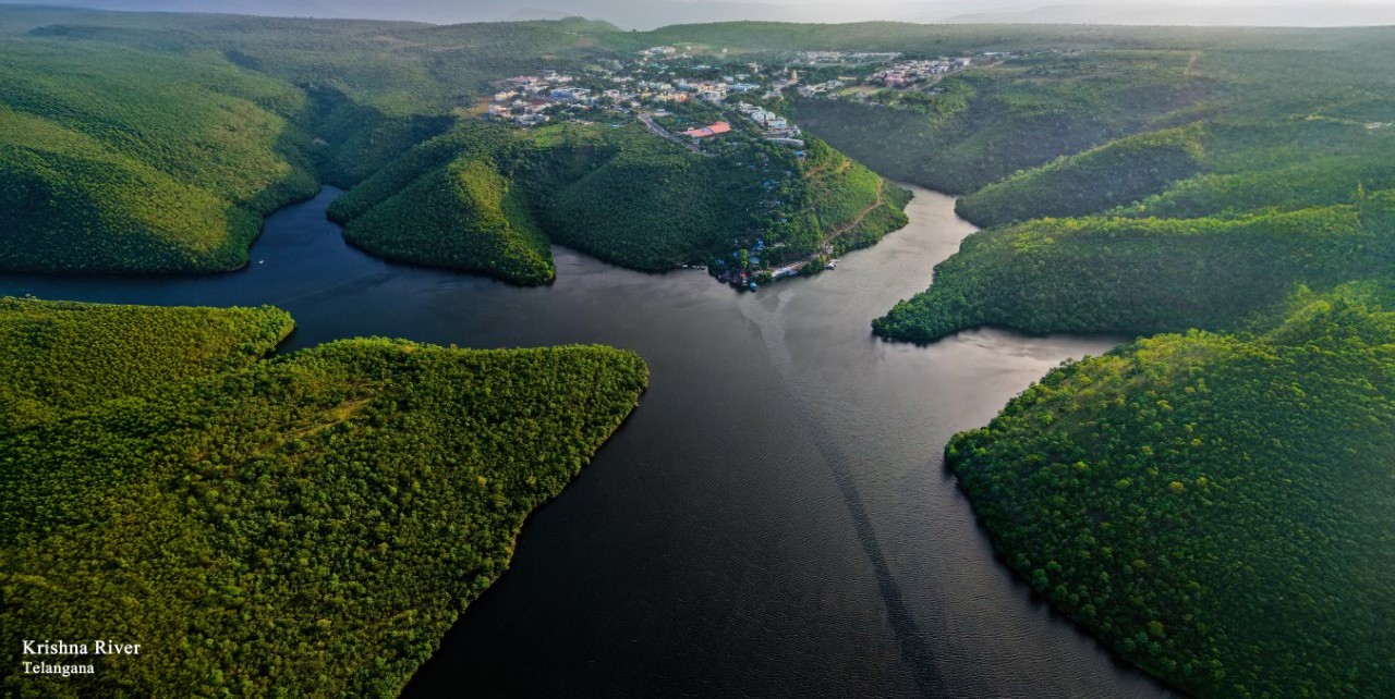 Octopus View Point